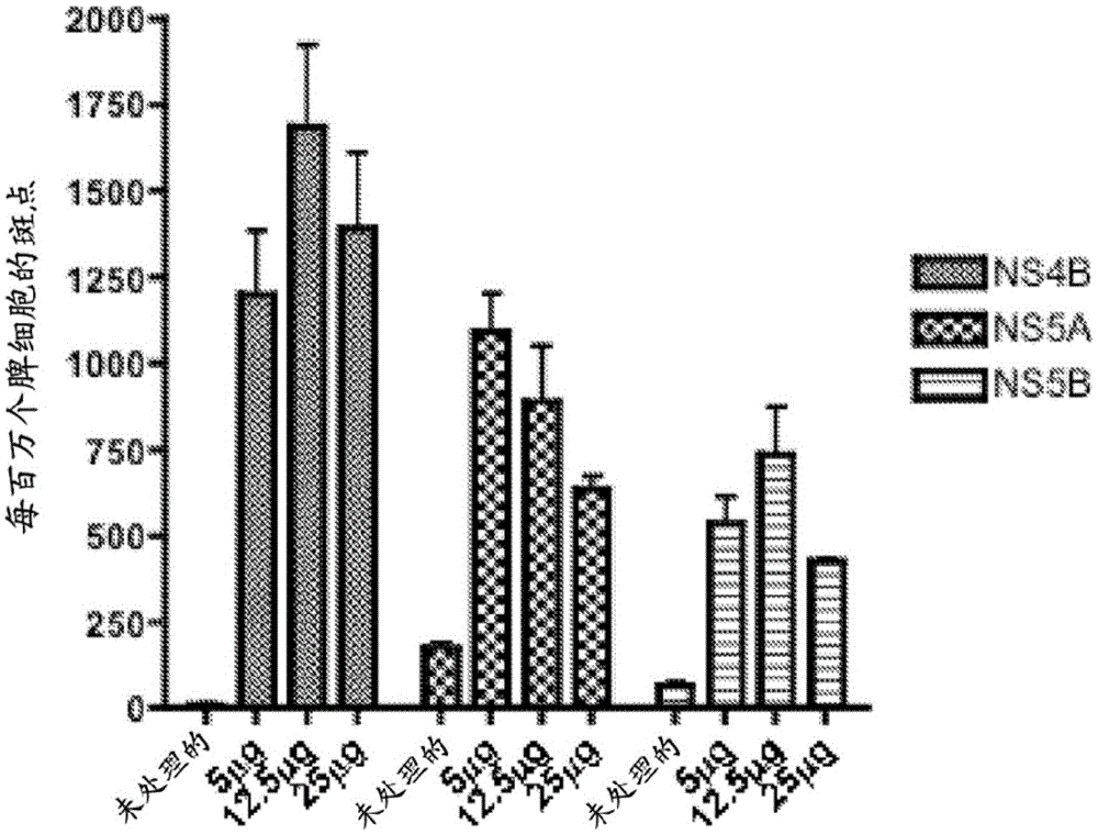 Improved hcv vaccine and method of use thereof