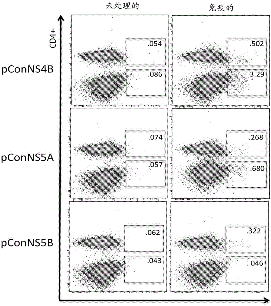 Improved hcv vaccine and method of use thereof