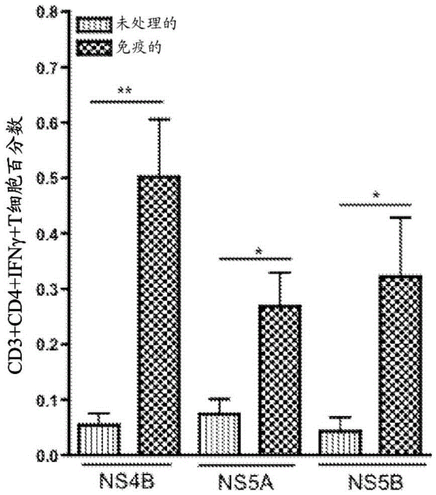 Improved hcv vaccine and method of use thereof