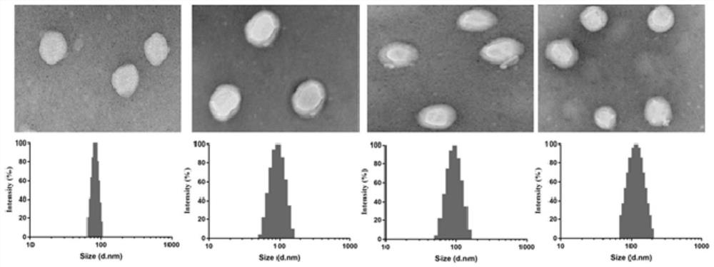 A low-molecular-weight heparin-modified bone-targeting liposome and its preparation method