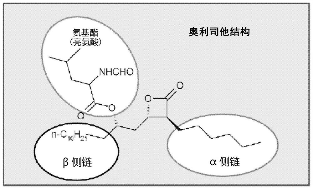 Compounds that reduce lipotoxic damage