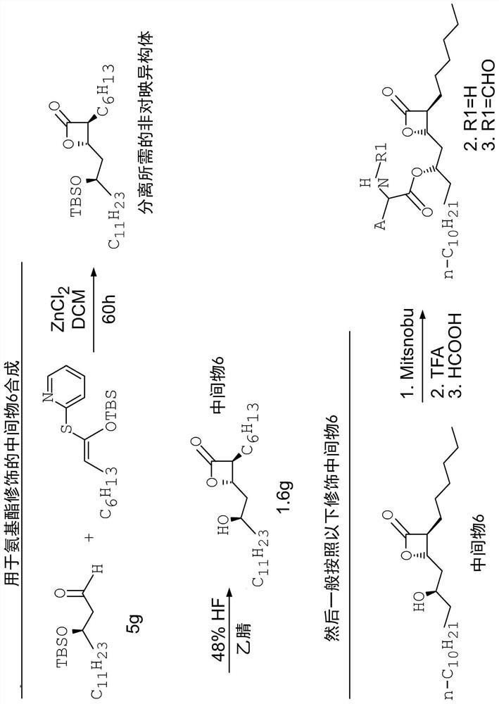 Compounds that reduce lipotoxic damage