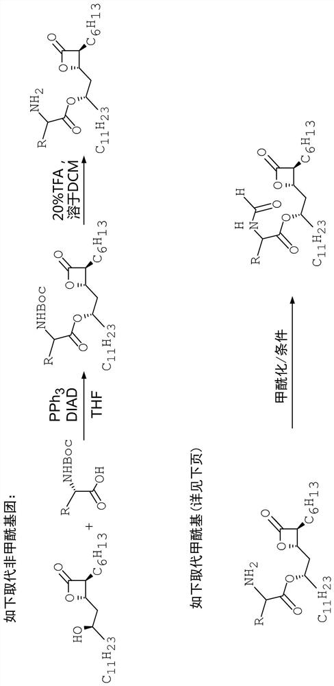 Compounds that reduce lipotoxic damage