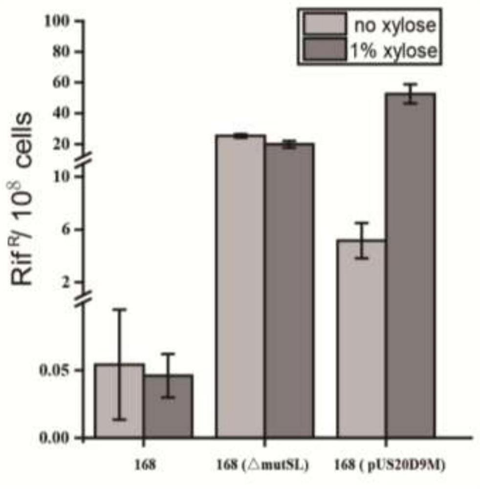 Plasmid for improving spontaneous mutation frequency of bacillus subtilis