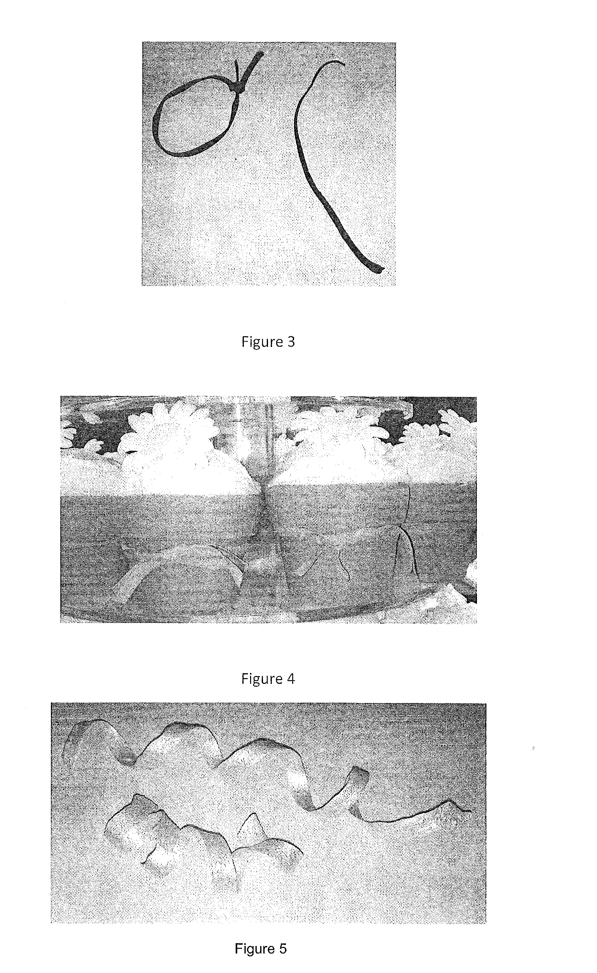 Decoration, decorative base and method for making same