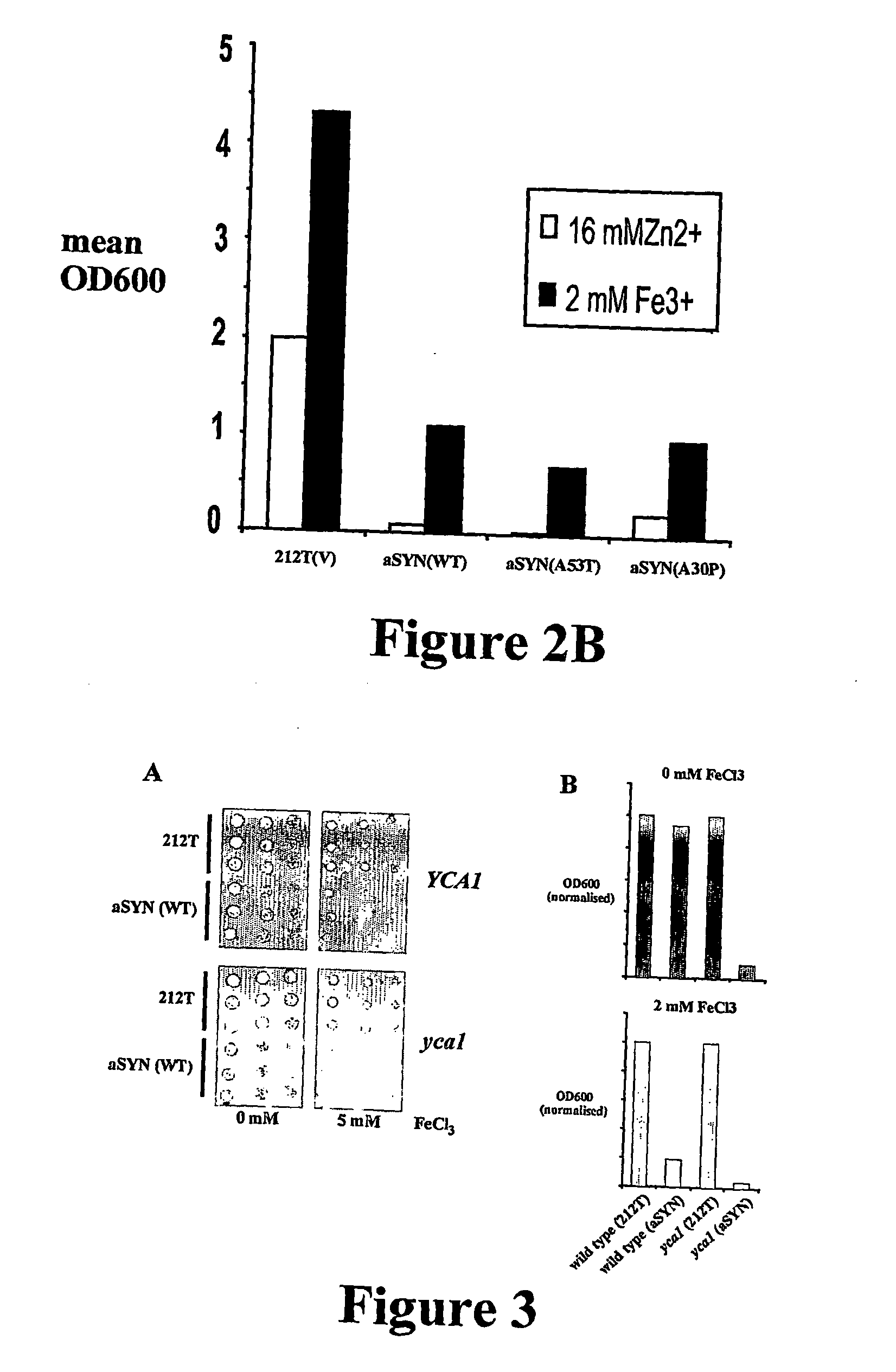 Yeast model for amyloidogenic protein toxicity