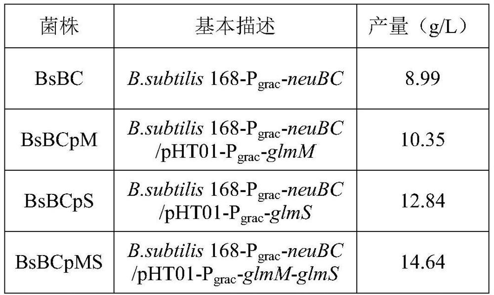 Recombinant bacillus subtilis with high yield of N-acetylneuraminic acid, and construction method and application of recombinant bacillus subtilis