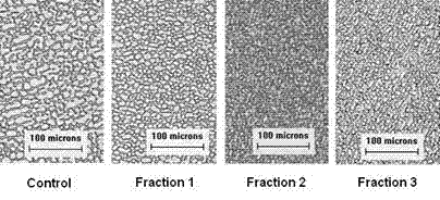 Antifreeze polypeptide prepared by enzymolysis of cow leather collagen by alkali protease