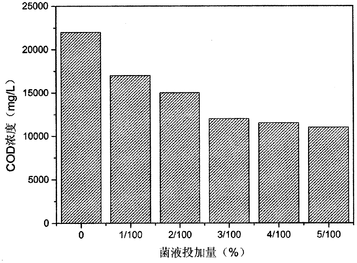 Microorganism-graphene combined treatment method for pig farm breeding wastewater