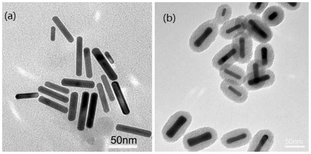A kind of core-shell type gold nanomaterial and its preparation method and application