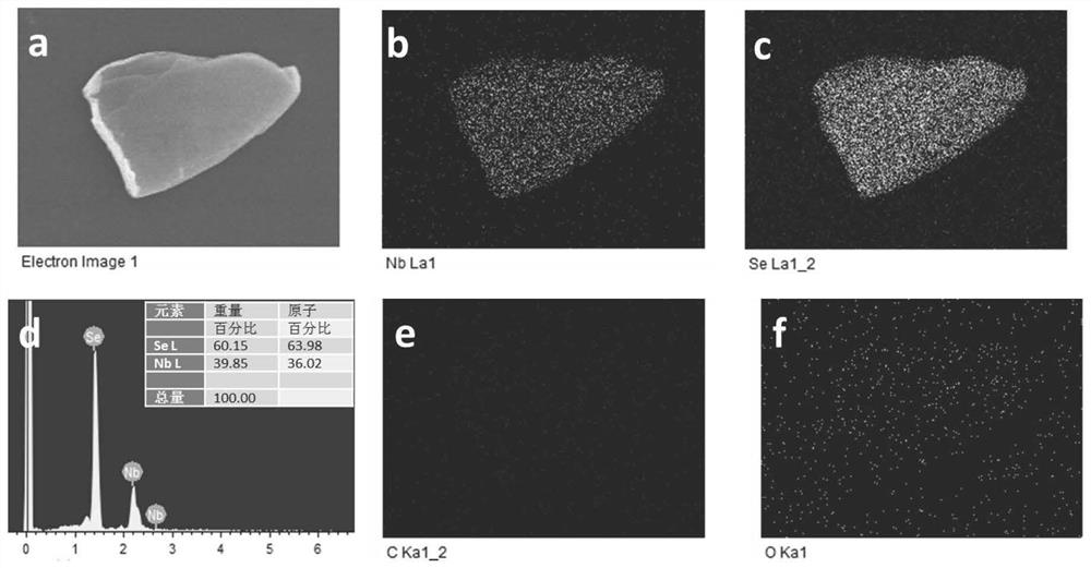 nbse  <sub>2</sub> Research method of tribological properties of single crystal as solid lubricant for electrical contact