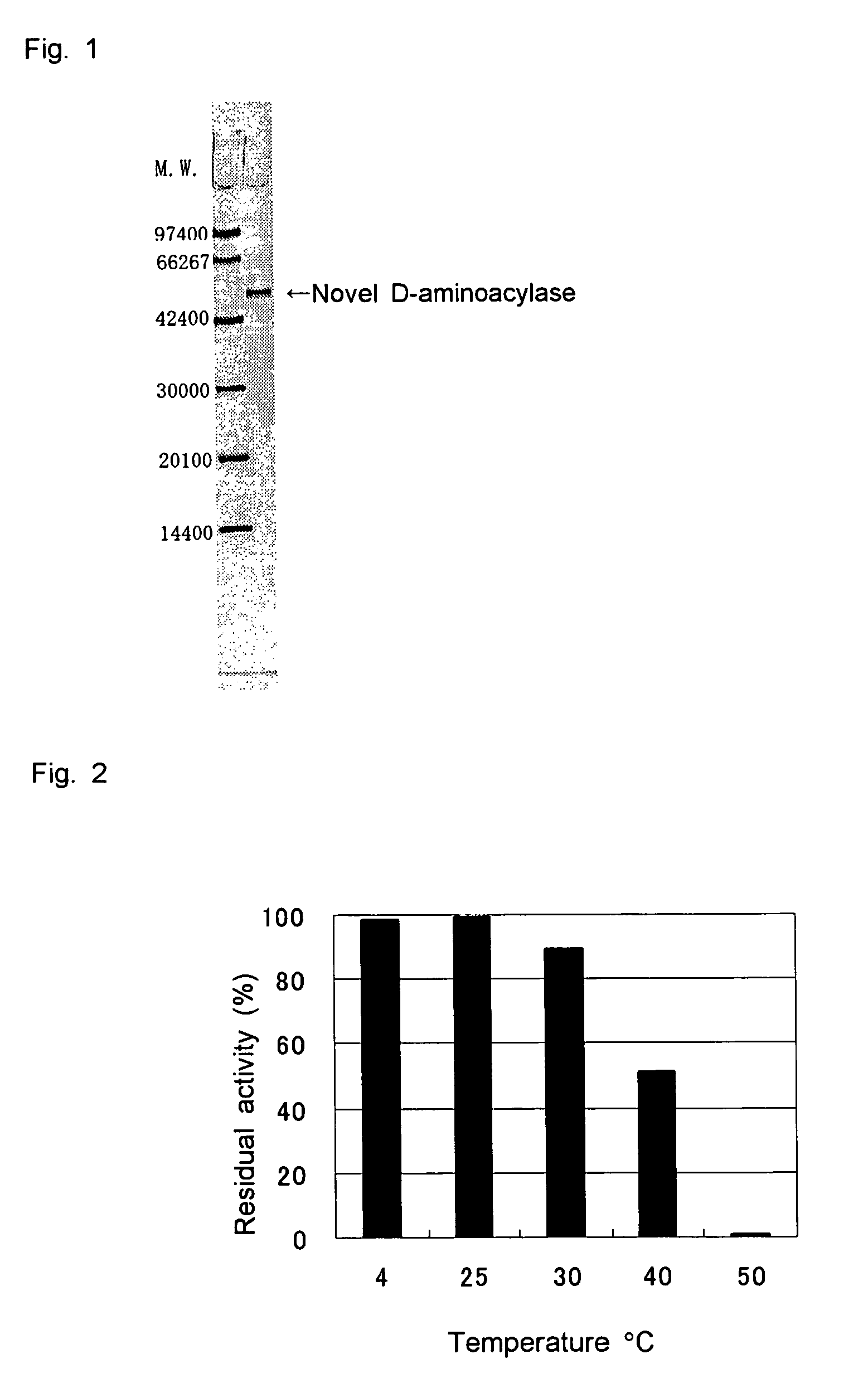 D-aminoacylase