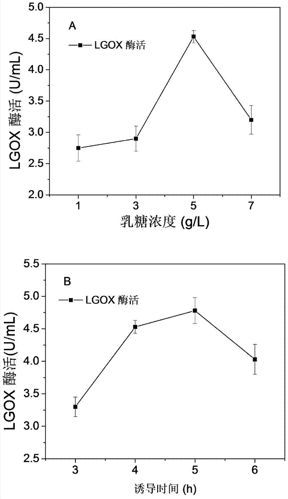 Method for efficiently producing L-glutamate oxidase