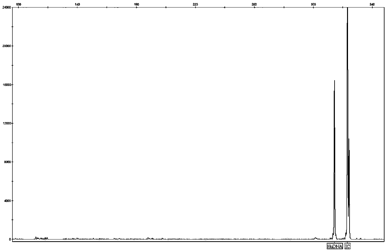 Kit and detection method for synchronously detecting 19 encephalitis and meningitis pathogens based on RT-PCR and capillary electrophoresis