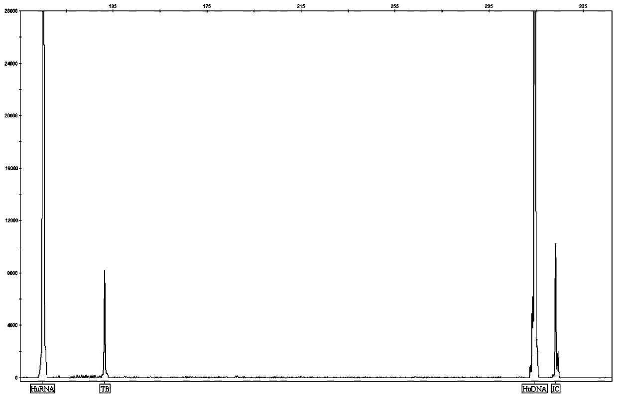 Kit and detection method for synchronously detecting 19 encephalitis and meningitis pathogens based on RT-PCR and capillary electrophoresis