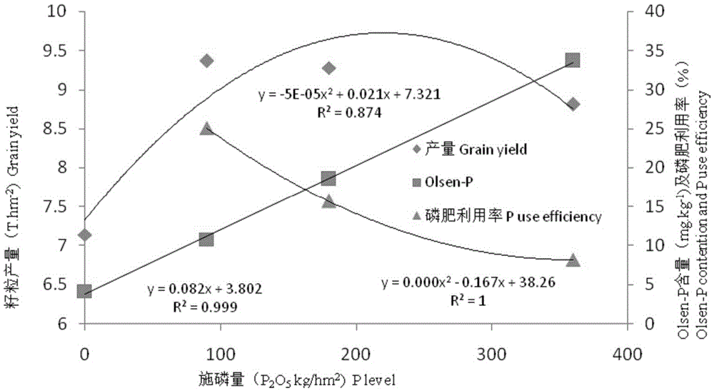 Fertilization method for high-yield cultivation of winter wheat in fluvo-aquic soil area in northern Henan taking into account environmental capacity