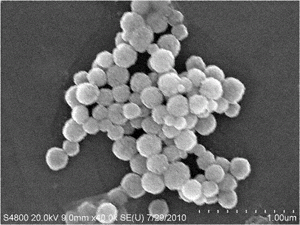 Preparation method of organic polymer modified ferric iron tetroxide multistage spheres