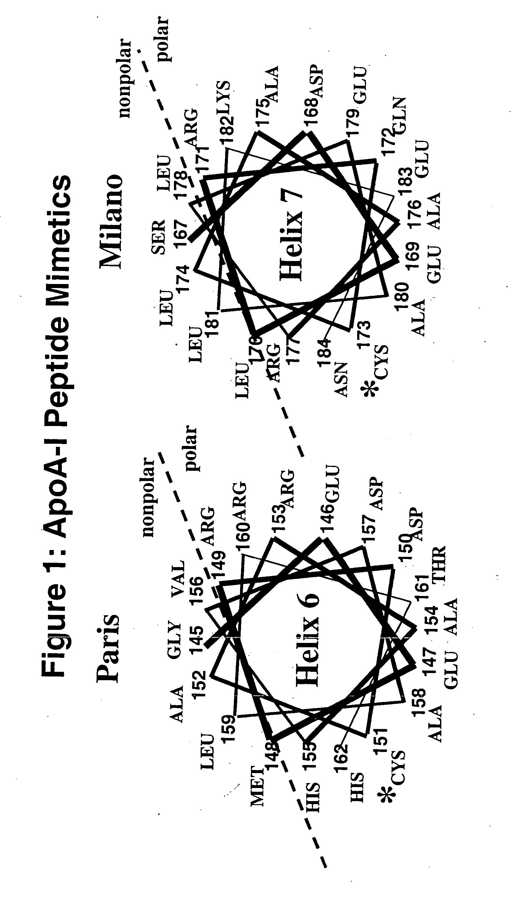 Cysteine-containing peptides having antioxidant properties