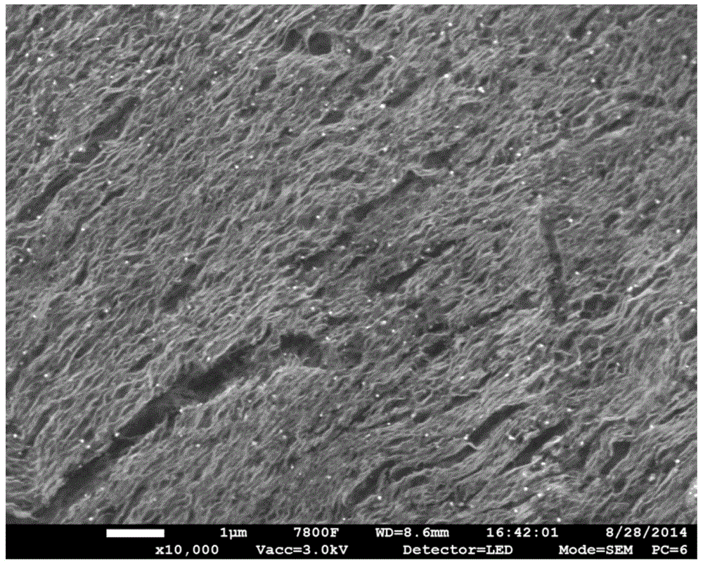 Preparation method of layered nanoscale material