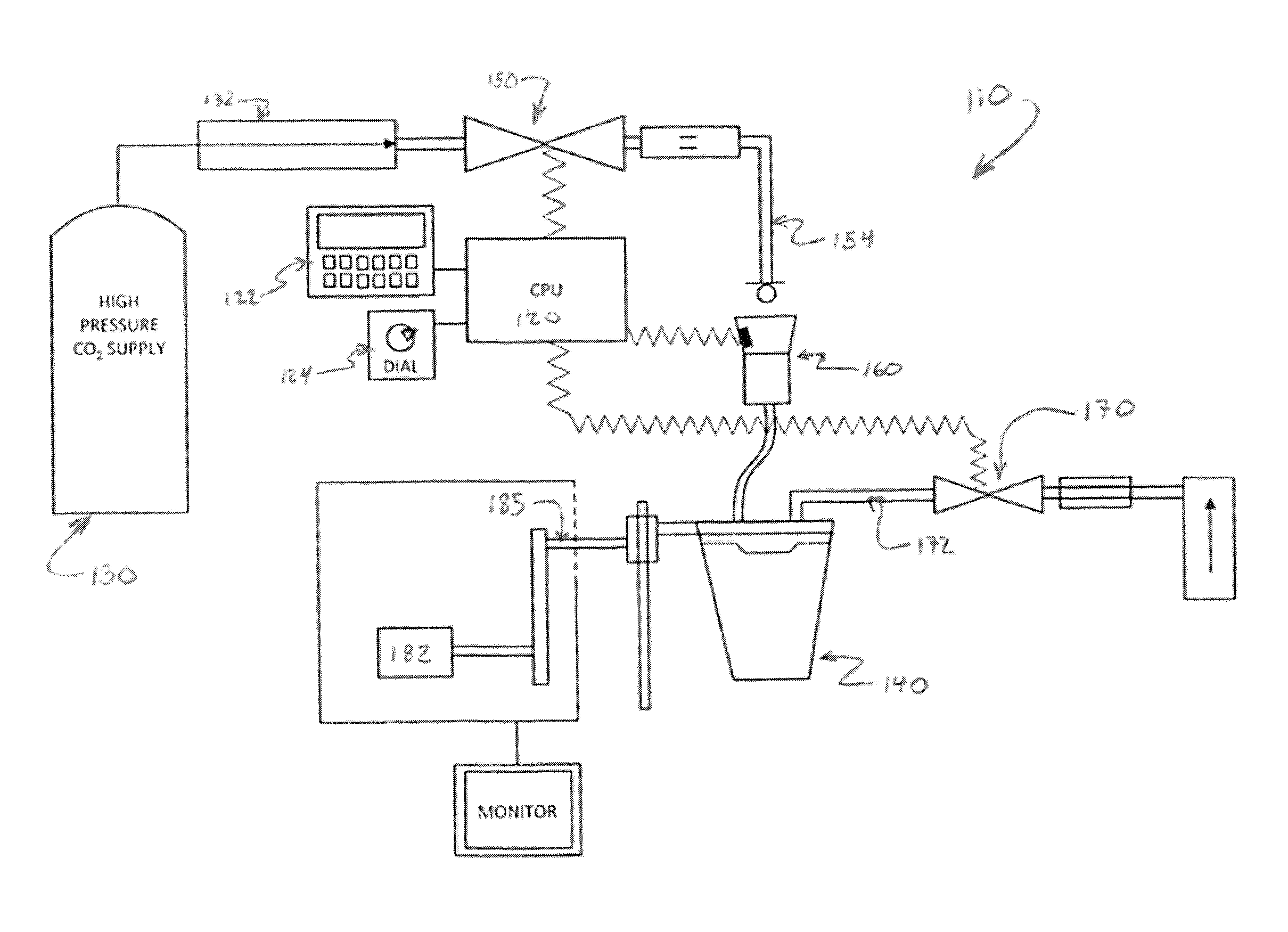 Method for customizing a beverage's carbonation level