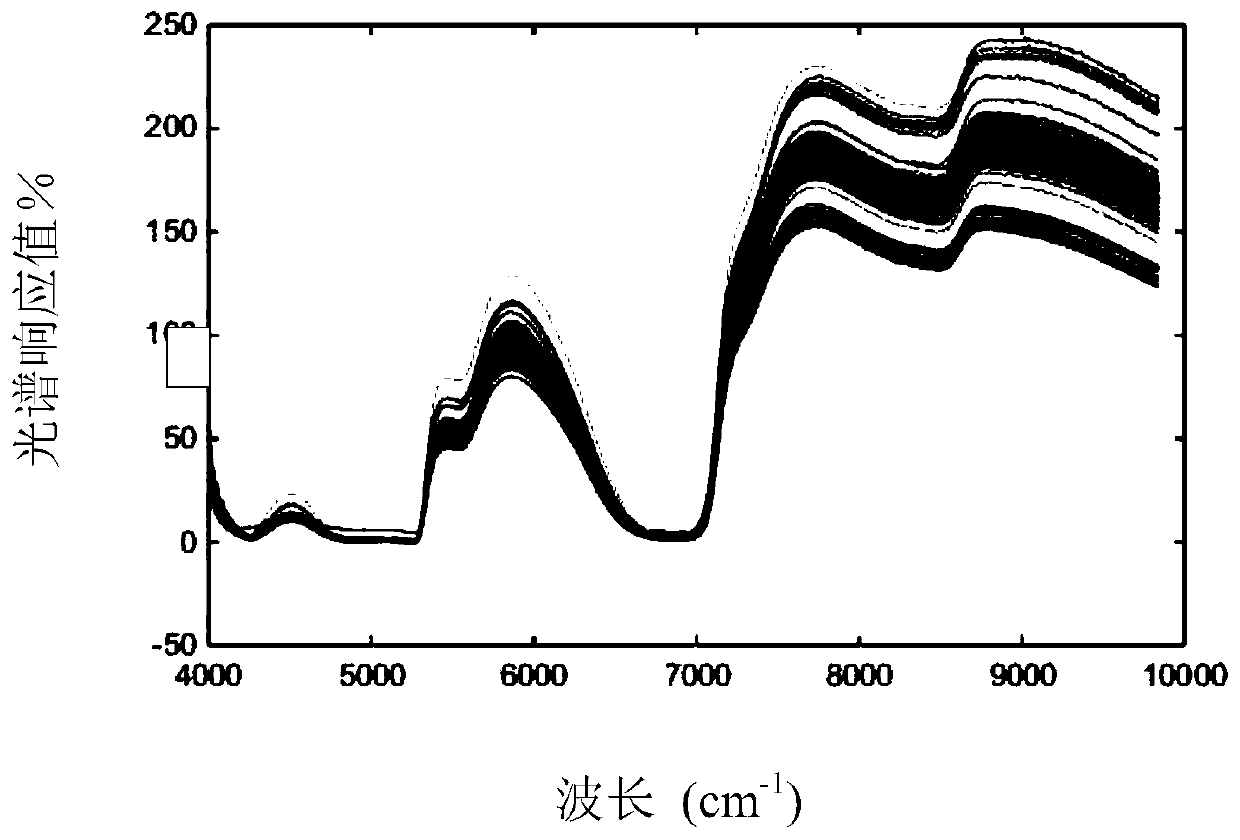 Method for determining yield of gellan gum in gellan gum fermentation liquor by utilizing near infrared spectroscopy