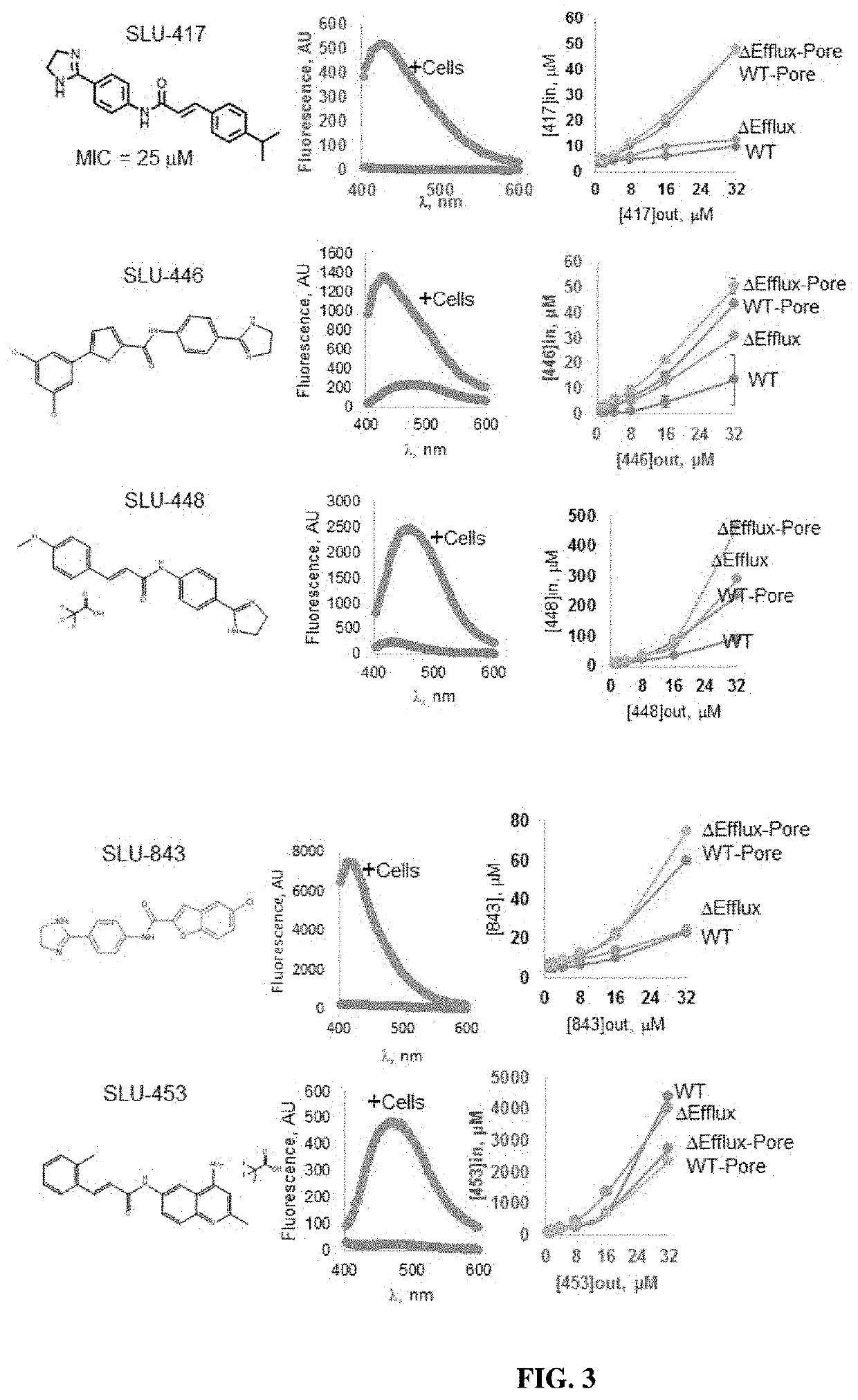 Fluorescent probes for drug permeability in gram negative bacteria