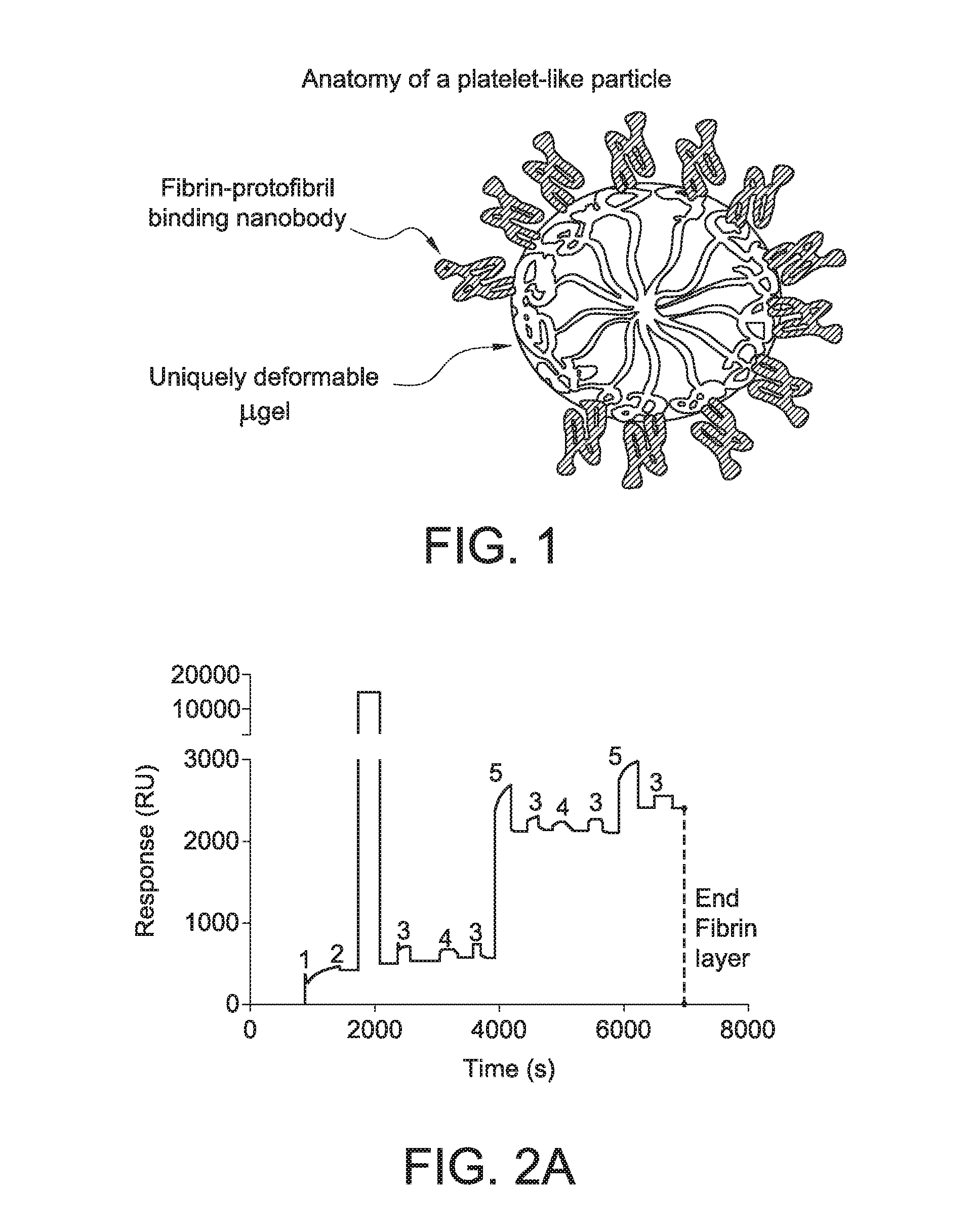 Functionalized microgels with fibrin binding elements