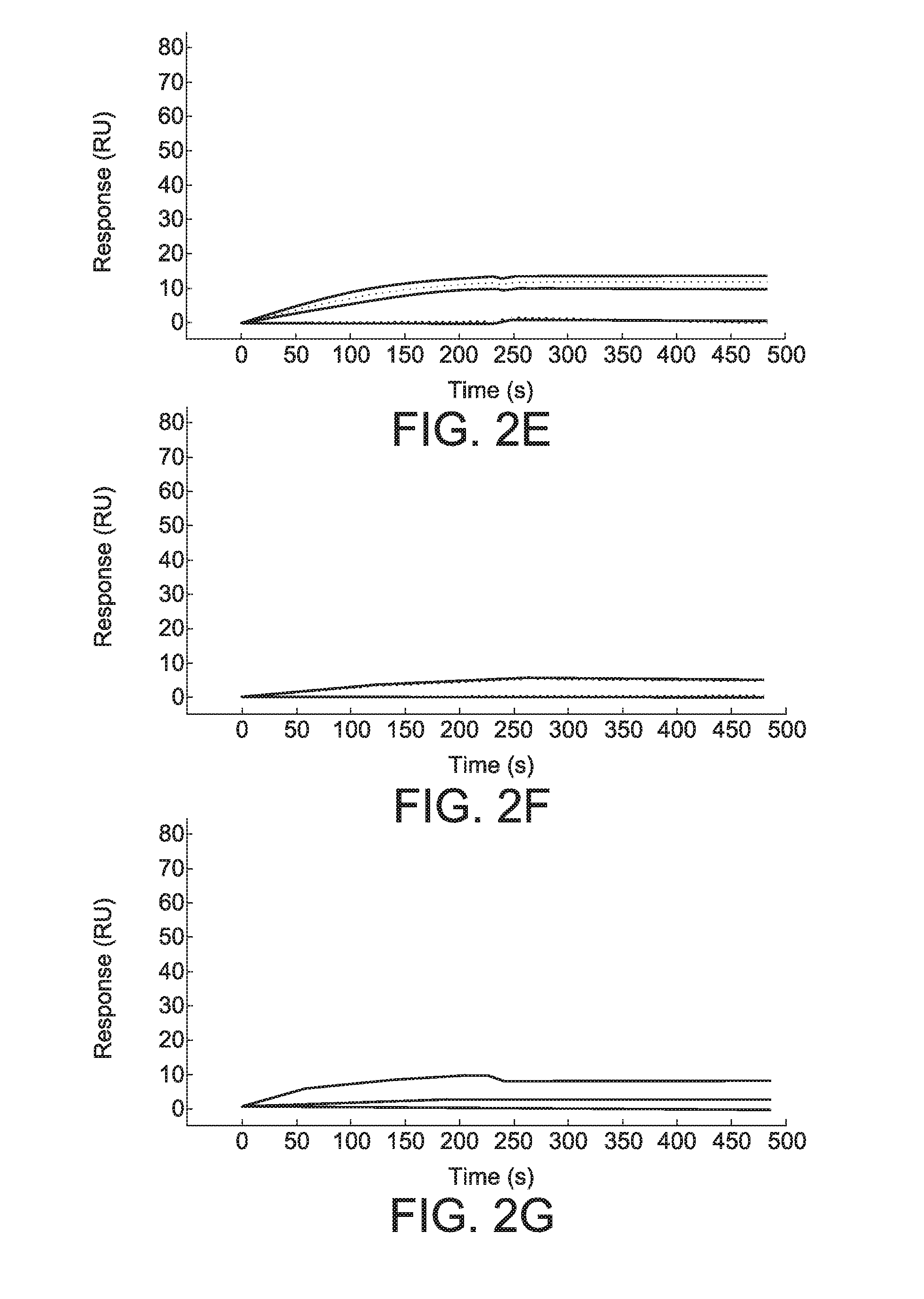 Functionalized microgels with fibrin binding elements