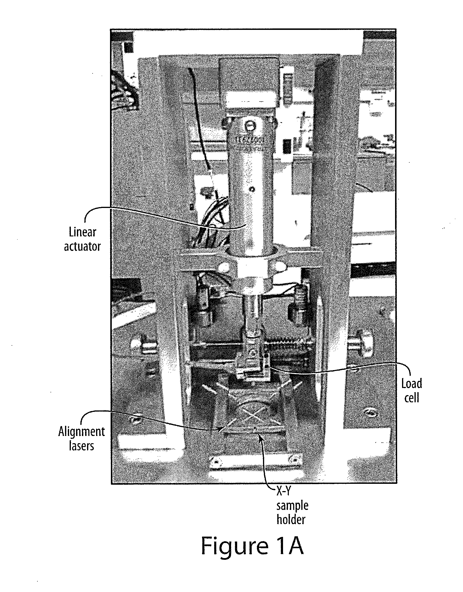 Device and system for mechanical measurement of biomaterial