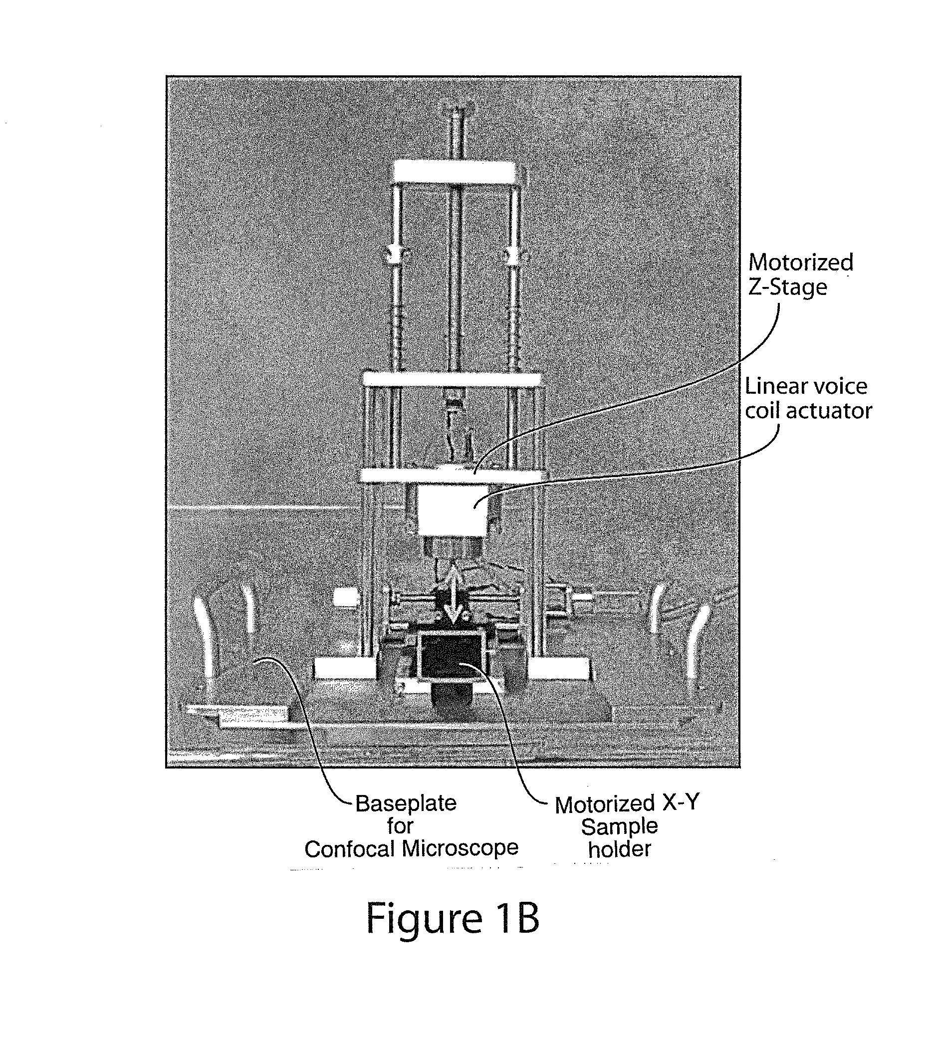 Device and system for mechanical measurement of biomaterial