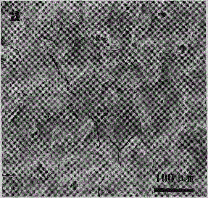 A kind of bone cement and preparation method thereof