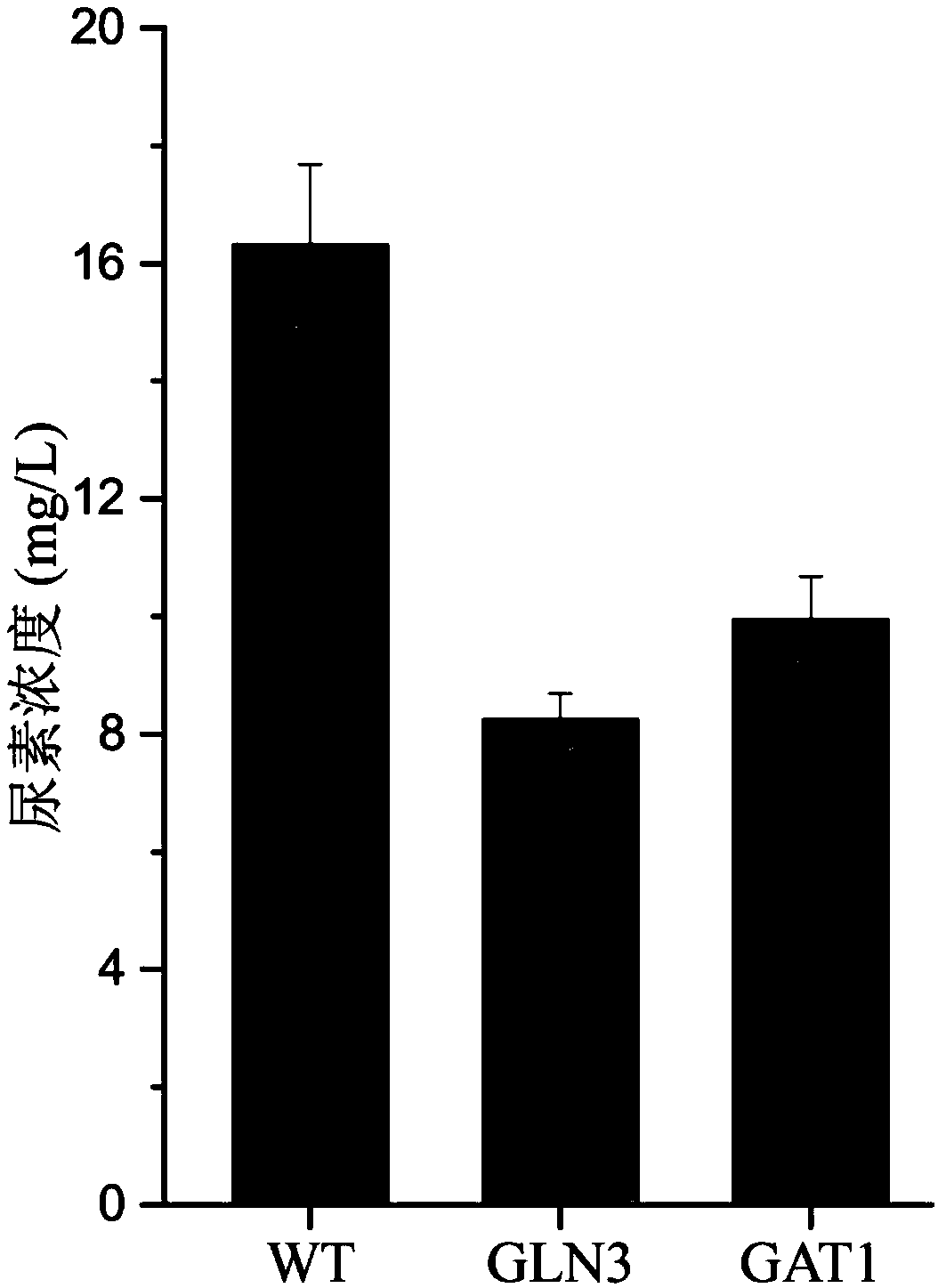 Method for reducing yellow wine yeast urea accumulation by regulating and controlling activating transcription factors