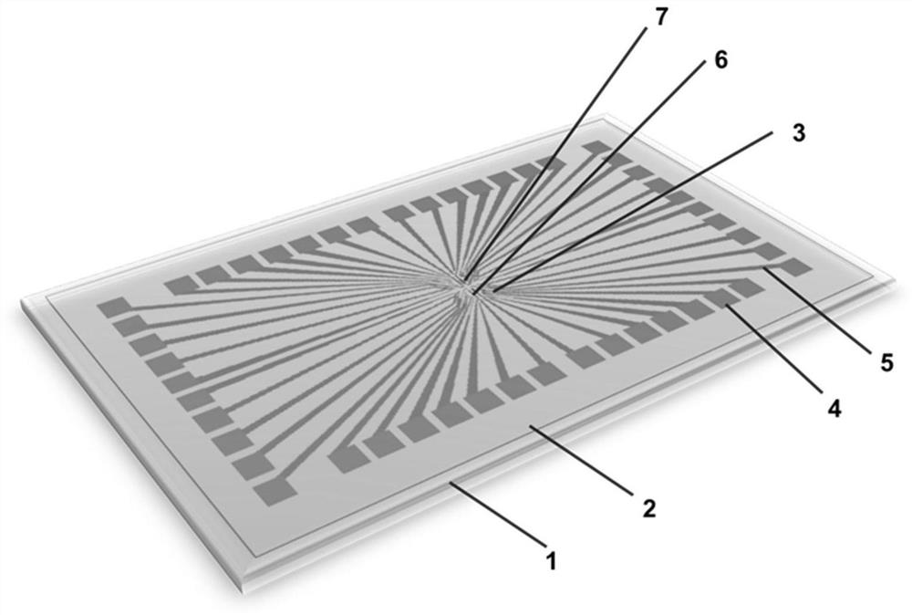 GABA and electrophysiological micro-nano synchronous sensing detection chip and preparation method thereof