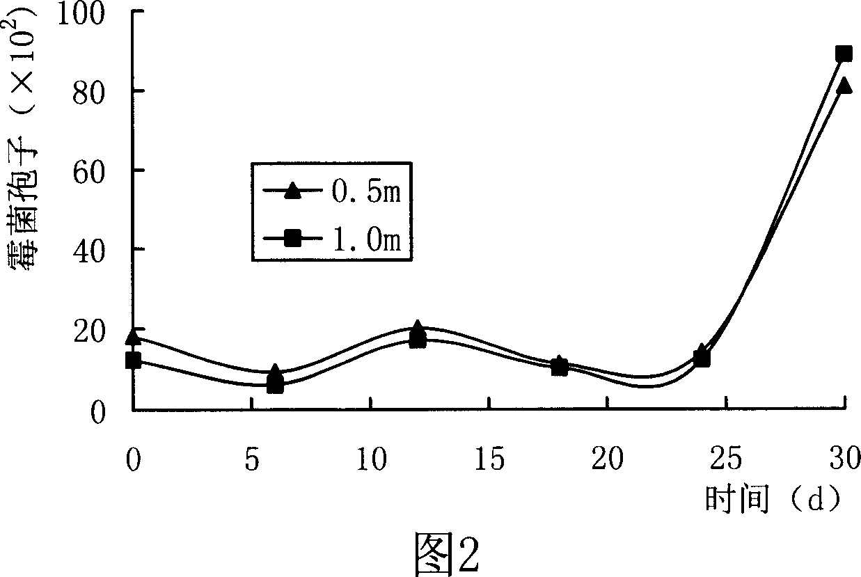 Harmful organism movement monitoring method used during agricultural product storage and conveying