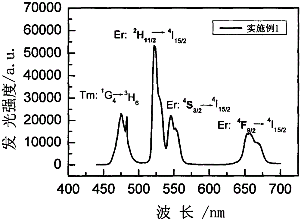 Rare-earth ion doping SrBr2 glass ceramics and preparation method thereof