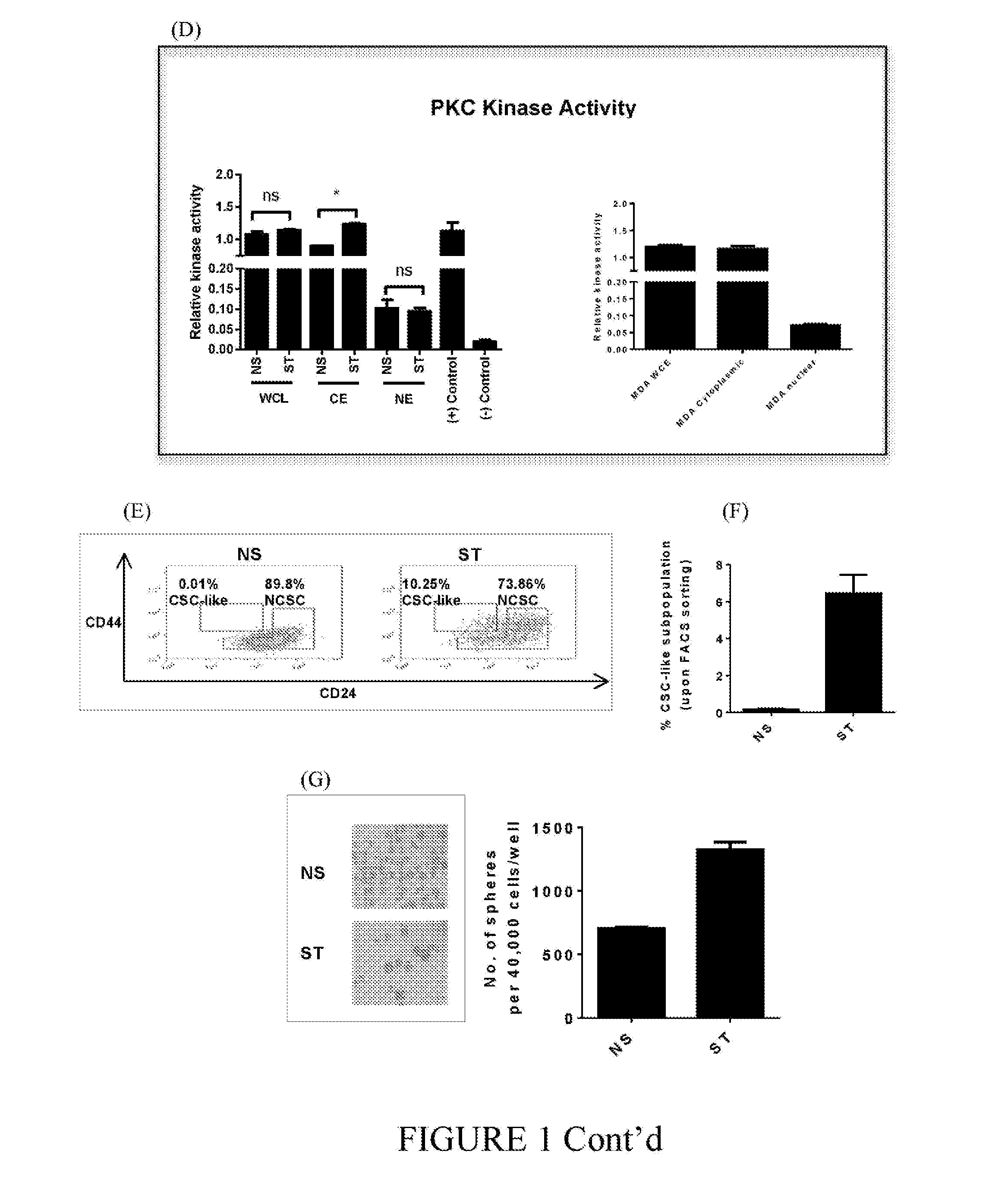 Stem Cell Modulation II