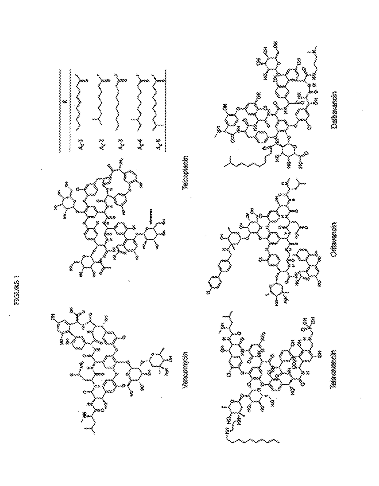 Glycopeptide compositions