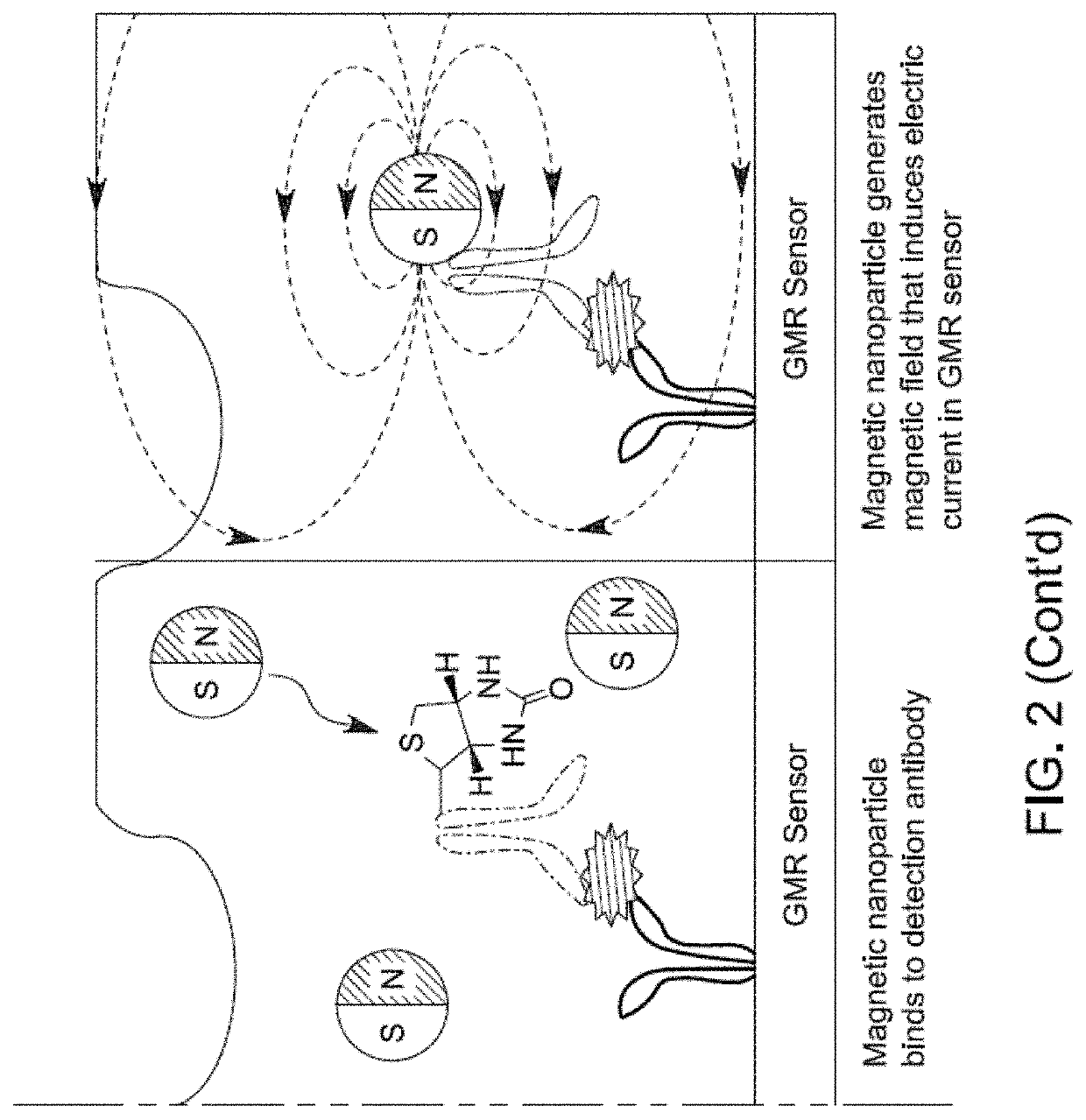 Systems and Methods for Measuring Binding Kinetics of Analytes in Complex Solutions