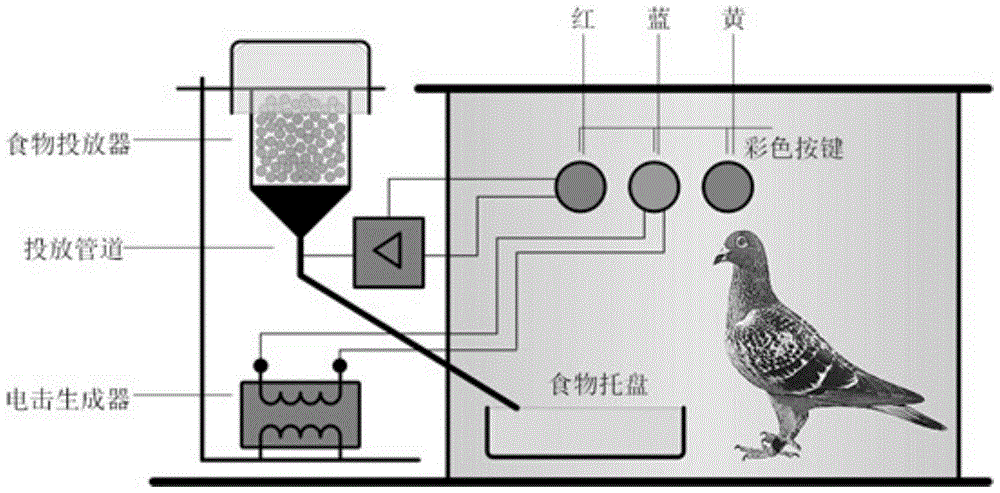 A sensorimotor system cognition and learning method with intrinsic engine mechanism