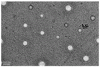 Poly(2-methacryloyloxyethyl phosphorylcholine) entrapped nimotuzumab nanocapsule, as well as preparation method and application thereof