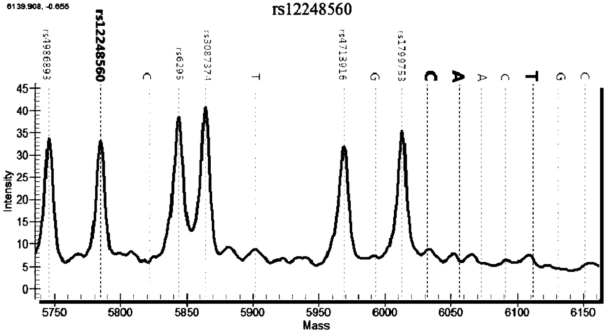 Primer group, kit and method for detecting polymorphic sites of psychotropic drug related genes