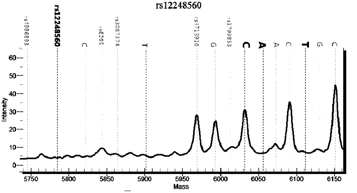 Primer group, kit and method for detecting polymorphic sites of psychotropic drug related genes