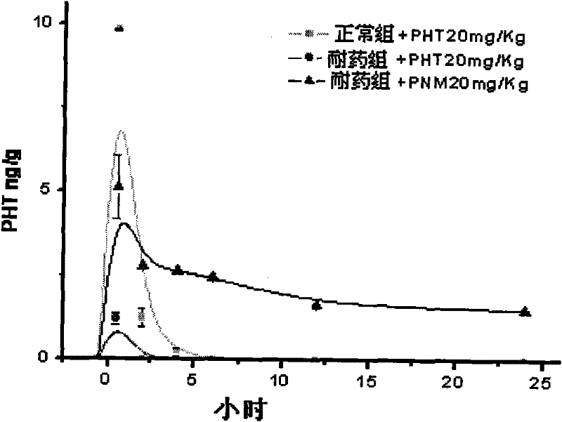 P-glycoprotein monoclonal antibody modified phenytoin targeting nanopreparation and preparation method thereof
