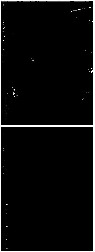 Preparation method for high-rate-performance sulfur-like positive electrode material namely molybdenum polysulfide nanosheet