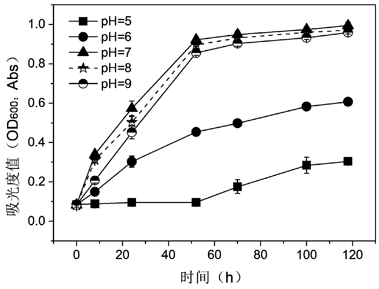 Polycyclic aromatic hydrocarbon degrading bacterium Q3 and application thereof