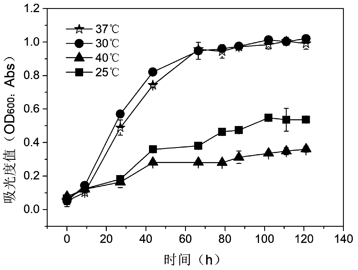 Polycyclic aromatic hydrocarbon degrading bacterium Q3 and application thereof
