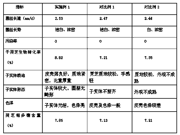 Glossy ganoderma culture material and preparation method thereof