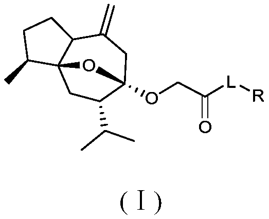 A kind of curcumol derivative with antitumor activity and its preparation method and application