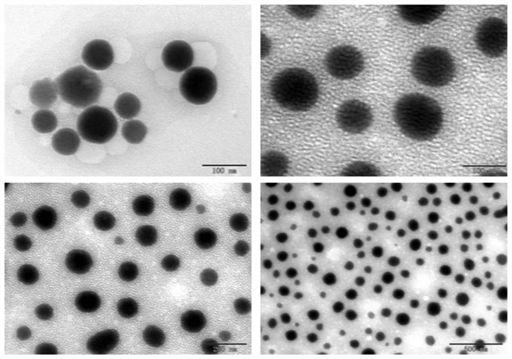 A kind of osthole microemulsion and its preparation method and application