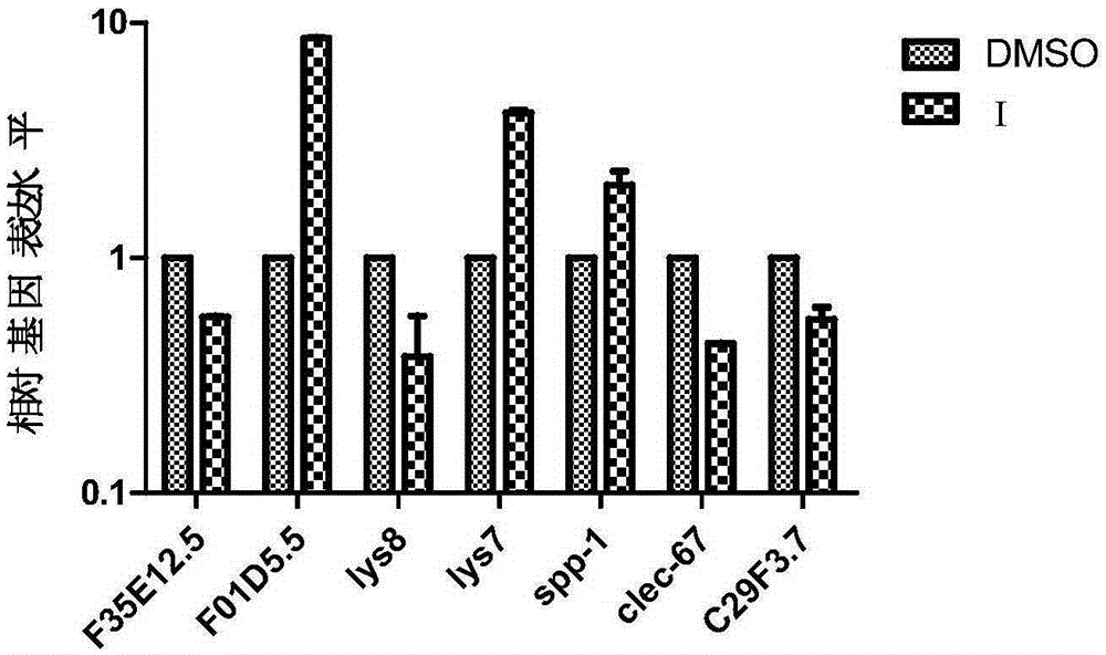 Application of substitutive 2,3-didetonindoline compound in preparing bacterial infection preventing and/or treating medicines